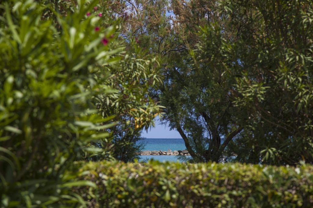 Residence Casabianca Porto San Giorgio Exteriér fotografie